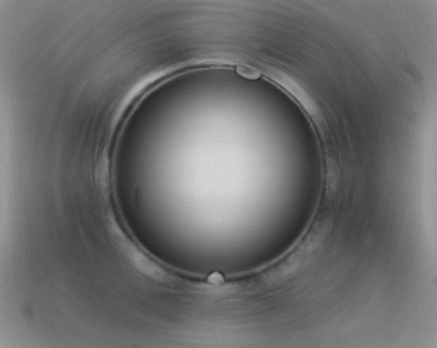 X0000114520996200910191151