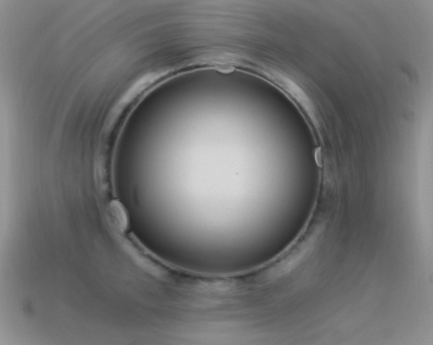 X0000114520997200910191151