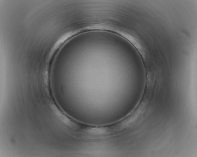 X0000114520998200910191151