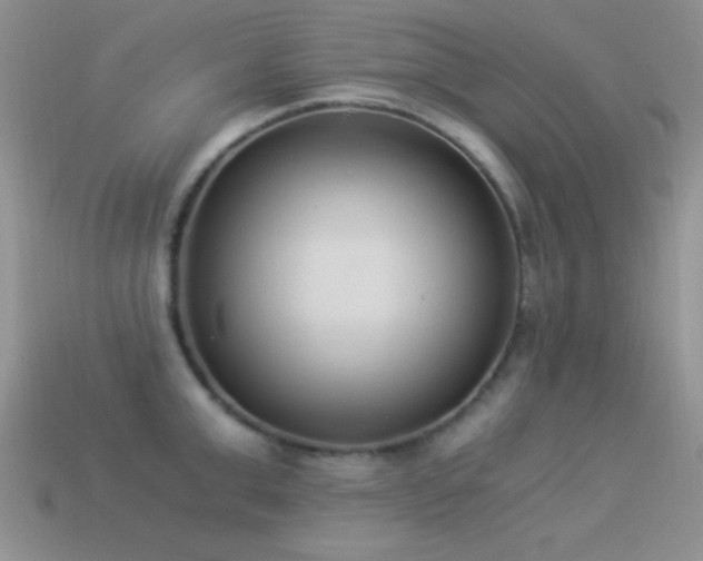 X0000114520999200910191151