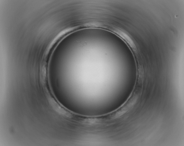 X0000114521000200910191151