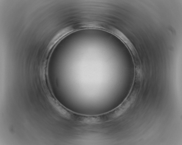 X0000114521002200910191151
