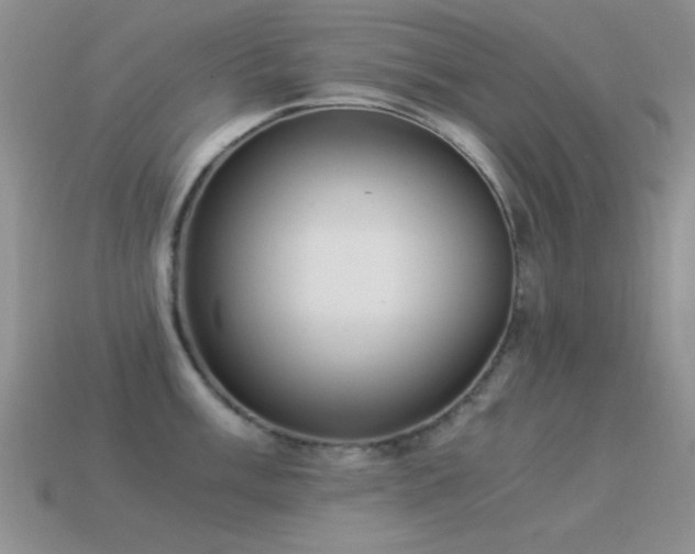 X0000114521003200910191151