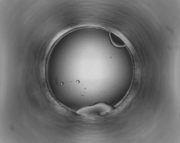 X0000114521004200910191151