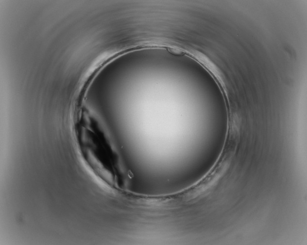 X0000114521005200910191151