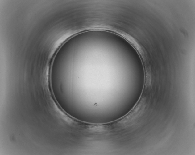 X0000114521006200910191151
