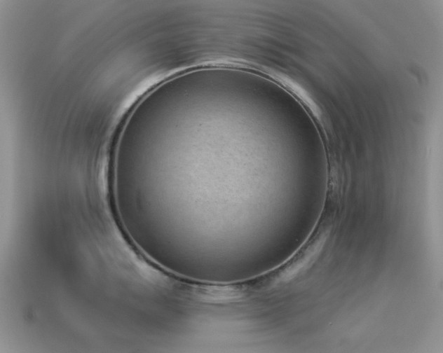 X0000114521007200910191151