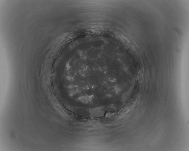 X0000114521009200910191150