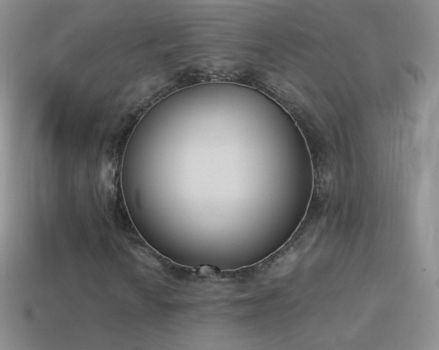 X0000114521010200910191150