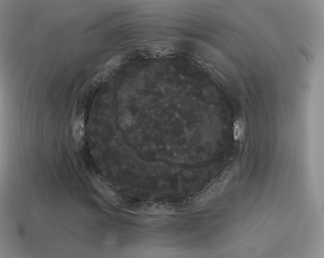 X0000114521011200910191150