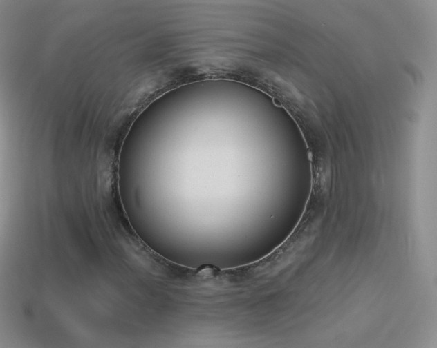 X0000114521012200910191150