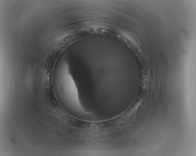 X0000114521013200910191150