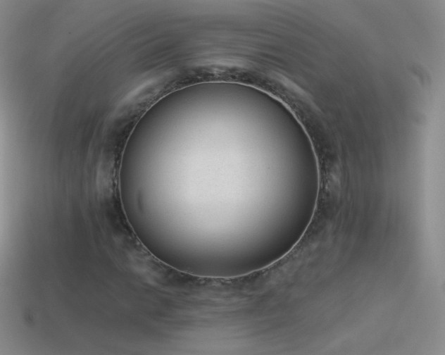 X0000114521014200910191150