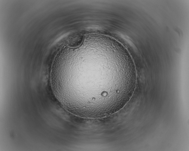 X0000114521015200910191150