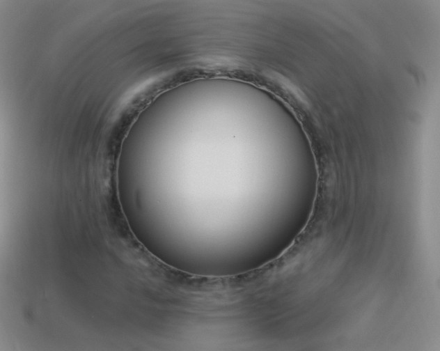 X0000114521016200910191150