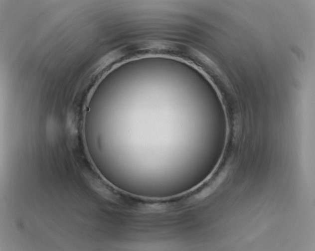 X0000114521017200910191150