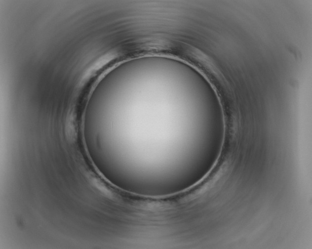 X0000114521018200910191150