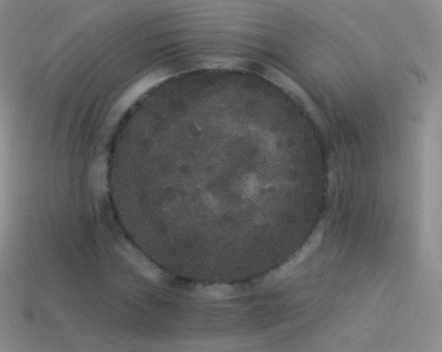 X0000114521019200910191150