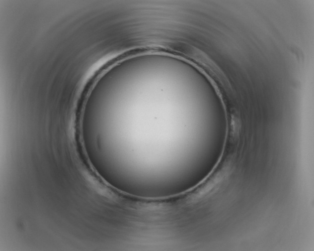 X0000114521020200910191150