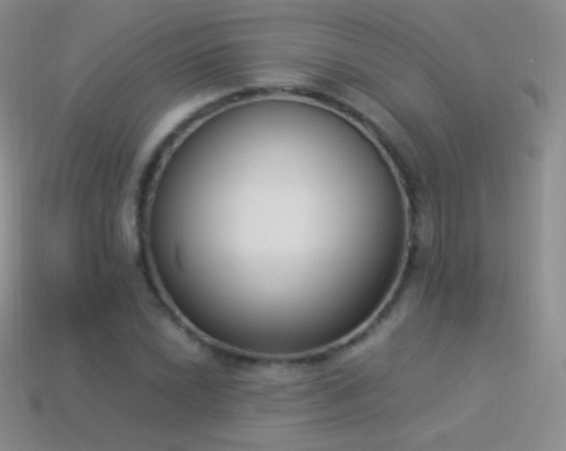 X0000114521022200910191150