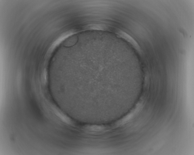 X0000114521027200910191150