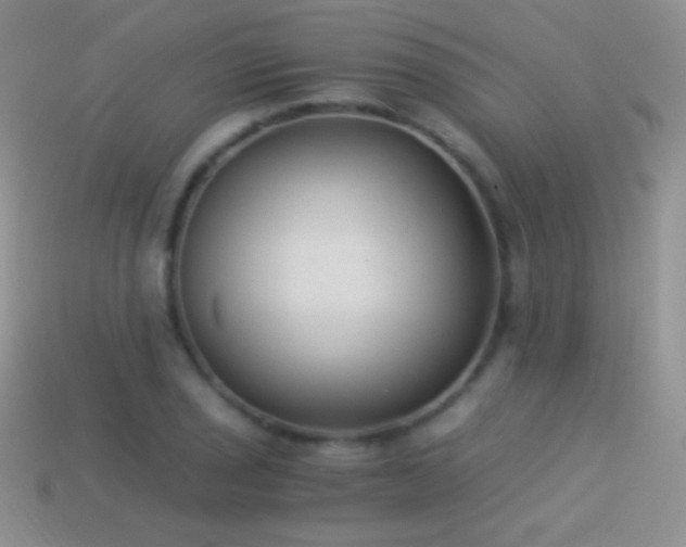 X0000114521029200910191150