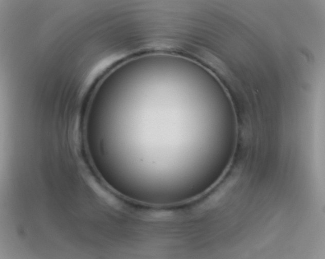 X0000114521030200910191150
