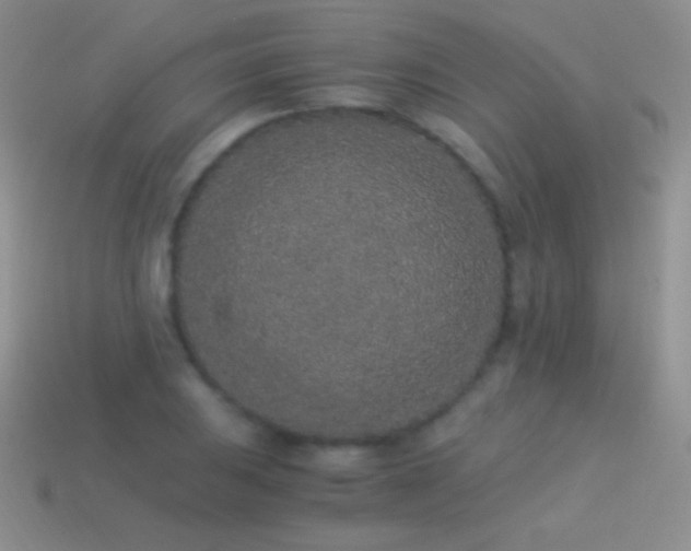 X0000114521031200910191150