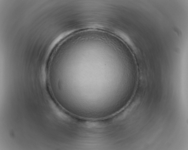 X0000114521032200910191150