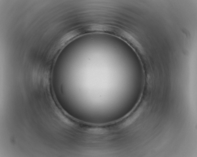 X0000114521033200910191150