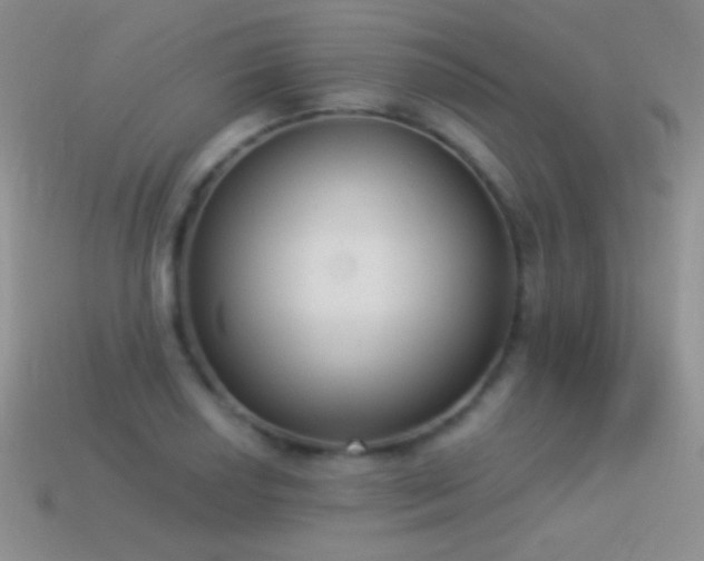 X0000114521034200910191150