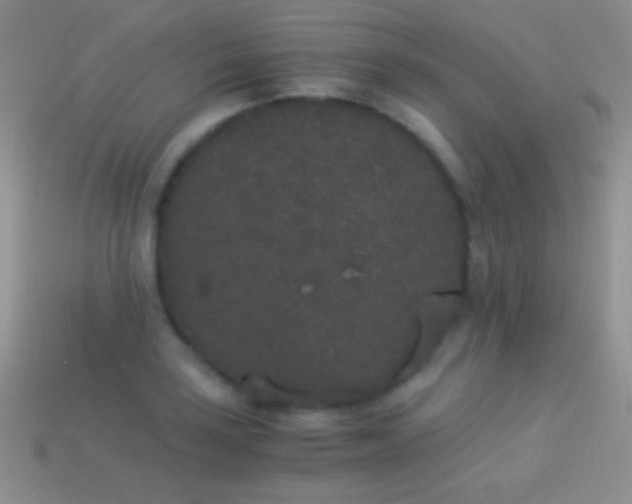 X0000114521035200910191150