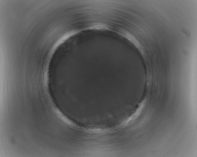 X0000114521037200910191150