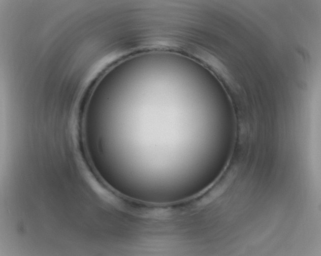X0000114521038200910191150