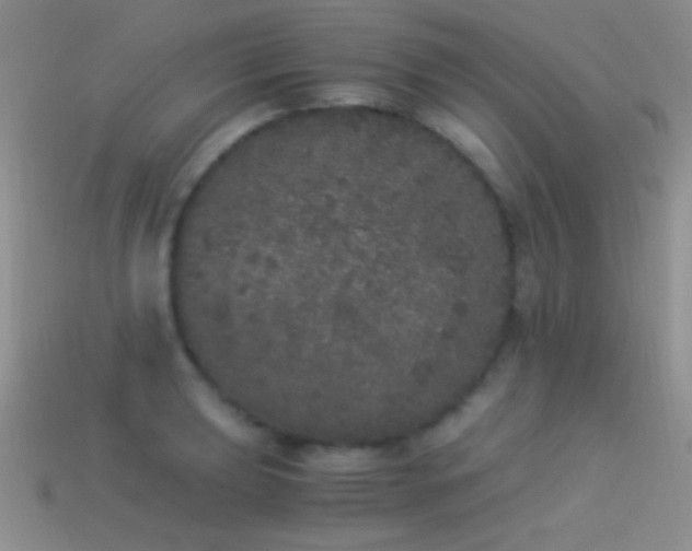 X0000114521039200910191150
