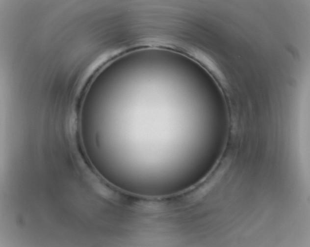 X0000114521040200910191150