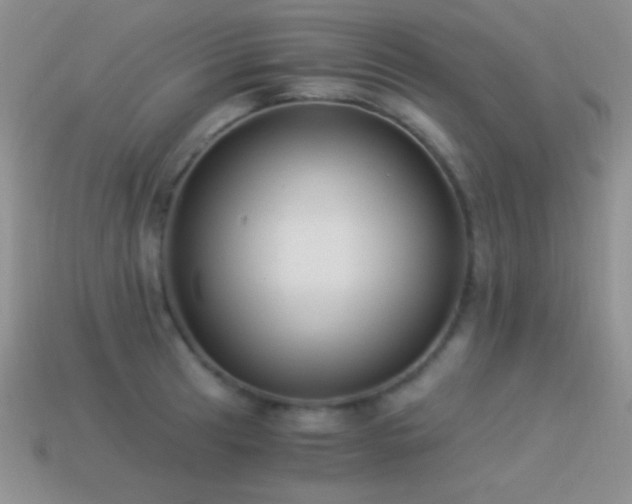 X0000114521041200910191150