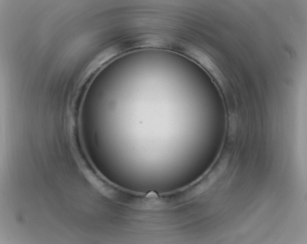 X0000114521042200910191150