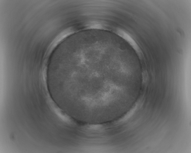 X0000114521043200910191150