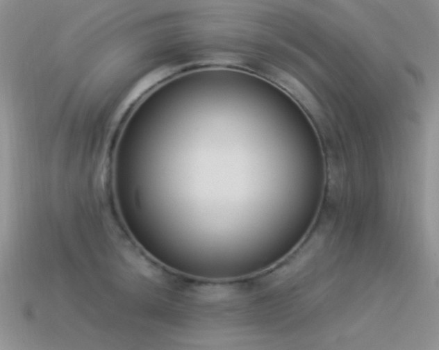 X0000114521044200910191150