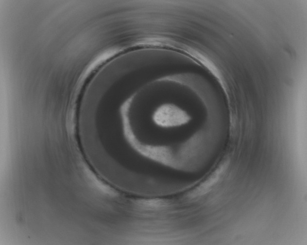 X0000114521045200910191150