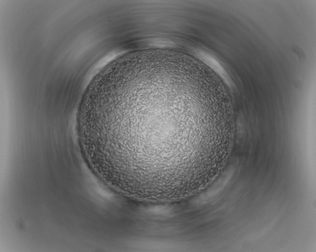 X0000114521047200910191150