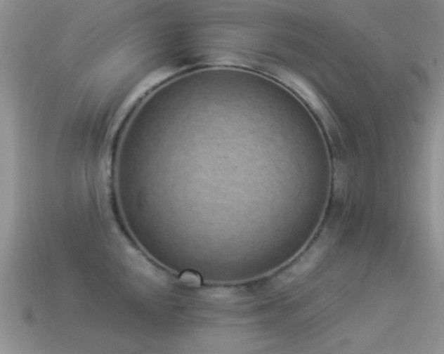 X0000114521048200910191150
