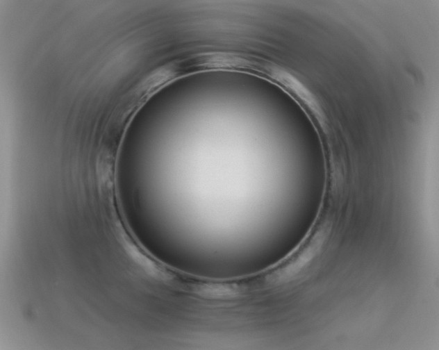 X0000114521049200910191150