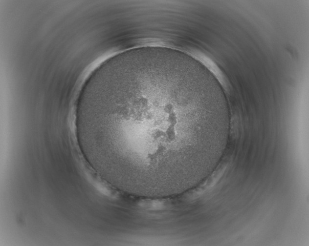 X0000114521051200910191150