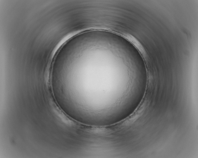 X0000114521052200910191150