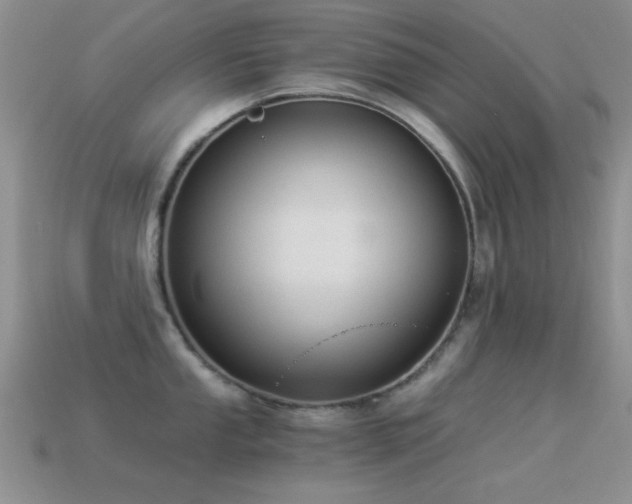 X0000114521053200910191150