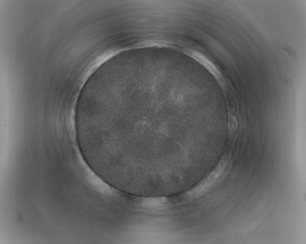 X0000114521055200910191150
