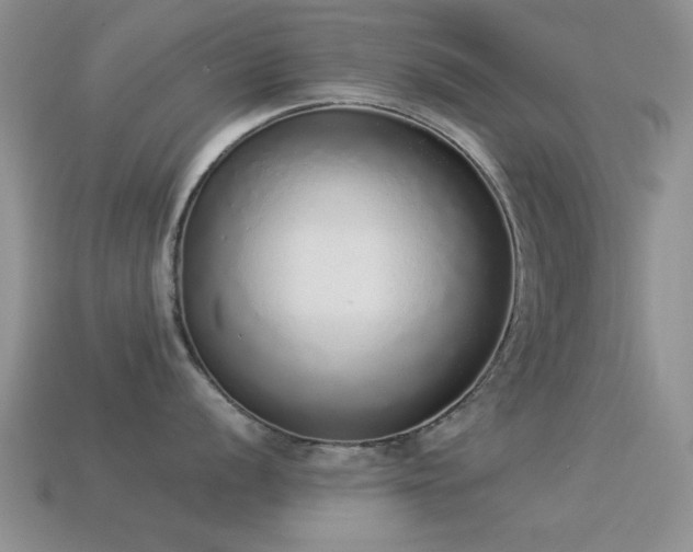 X0000114521056200910191150