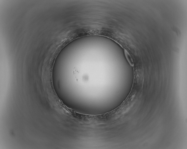 X0000114521057200910191150